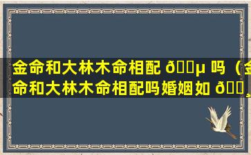 金命和大林木命相配 🌵 吗（金命和大林木命相配吗婚姻如 🌸 何）